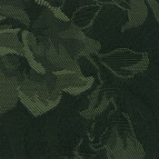 CA-147 フロリアン